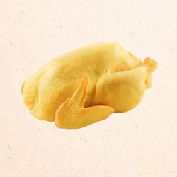 Pollo en pie