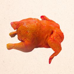 Pollo en pie
